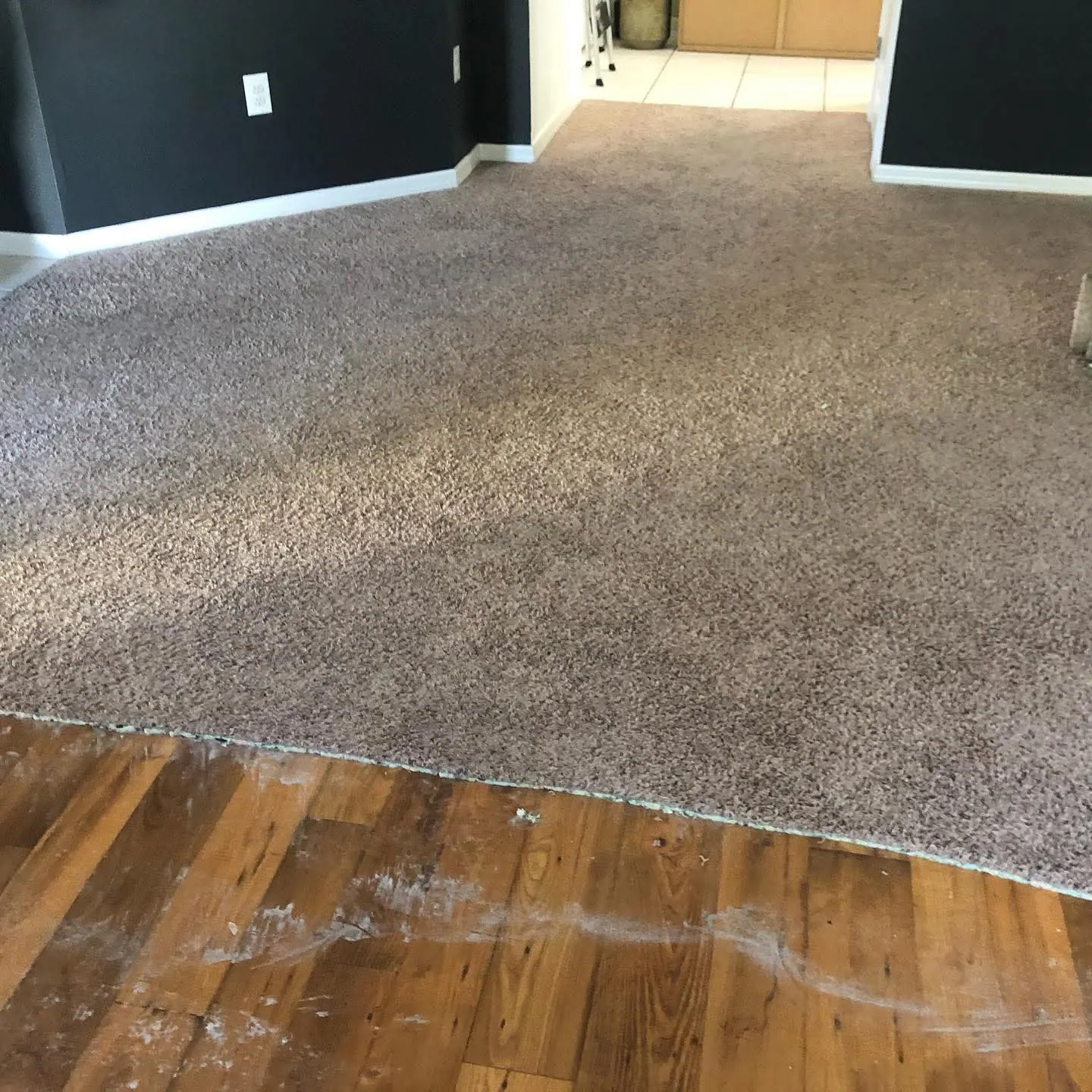 Carpet removal before light laminate flooring installation